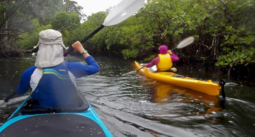 Two people wearing life jackets paddle kayaks away from the camera. 